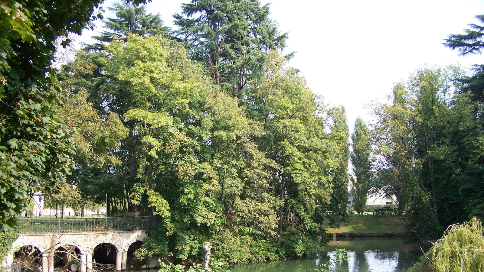 Vista panorámica de Corbetta